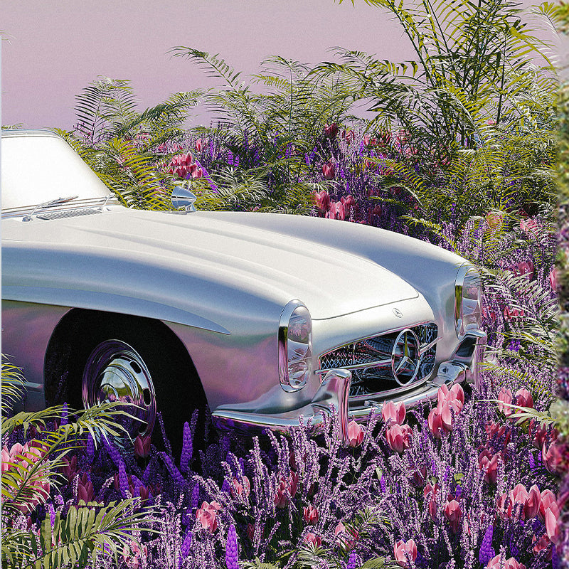 The Last Drive